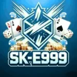 Sk-E999 Game