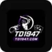 TD1947 Game